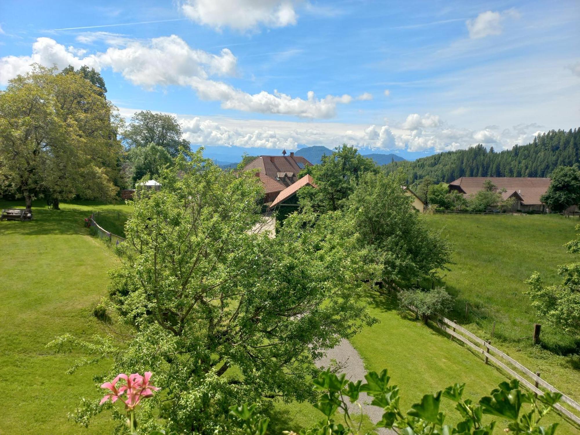 Appartement Steurer Hof à Liebenfels Extérieur photo