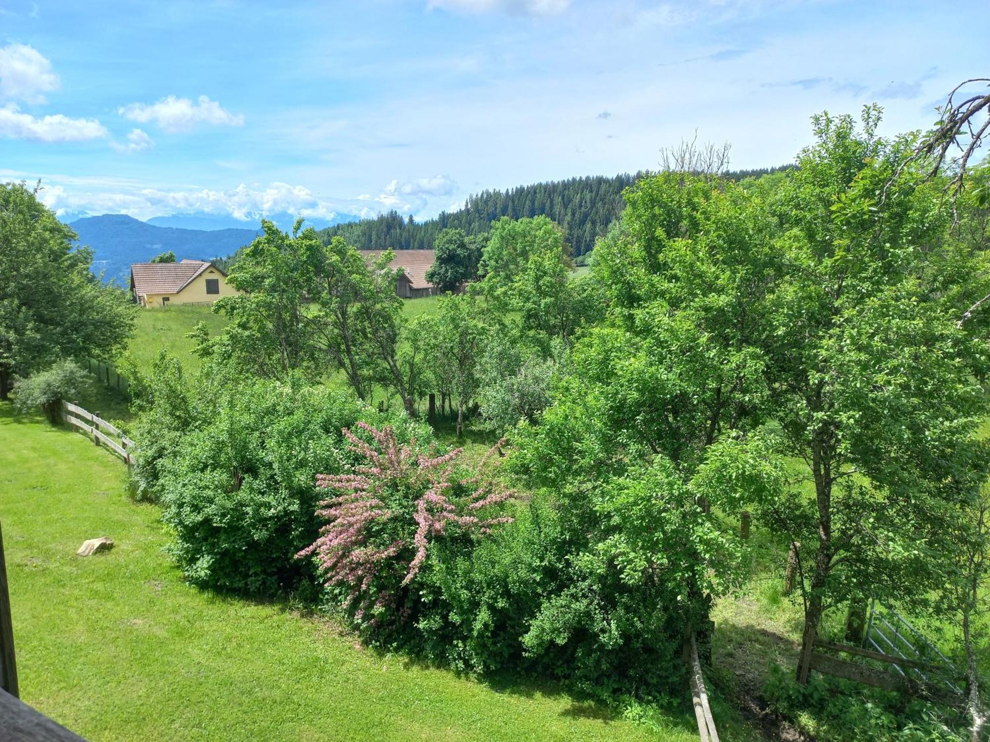 Appartement Steurer Hof à Liebenfels Extérieur photo