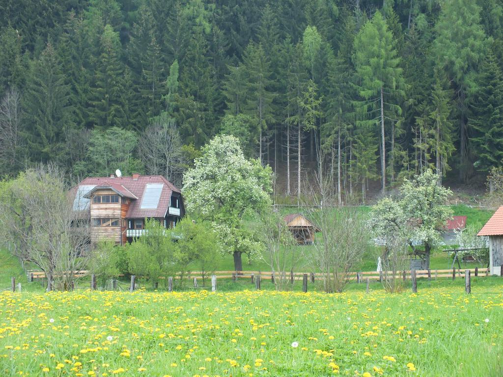 Appartement Steurer Hof à Liebenfels Extérieur photo
