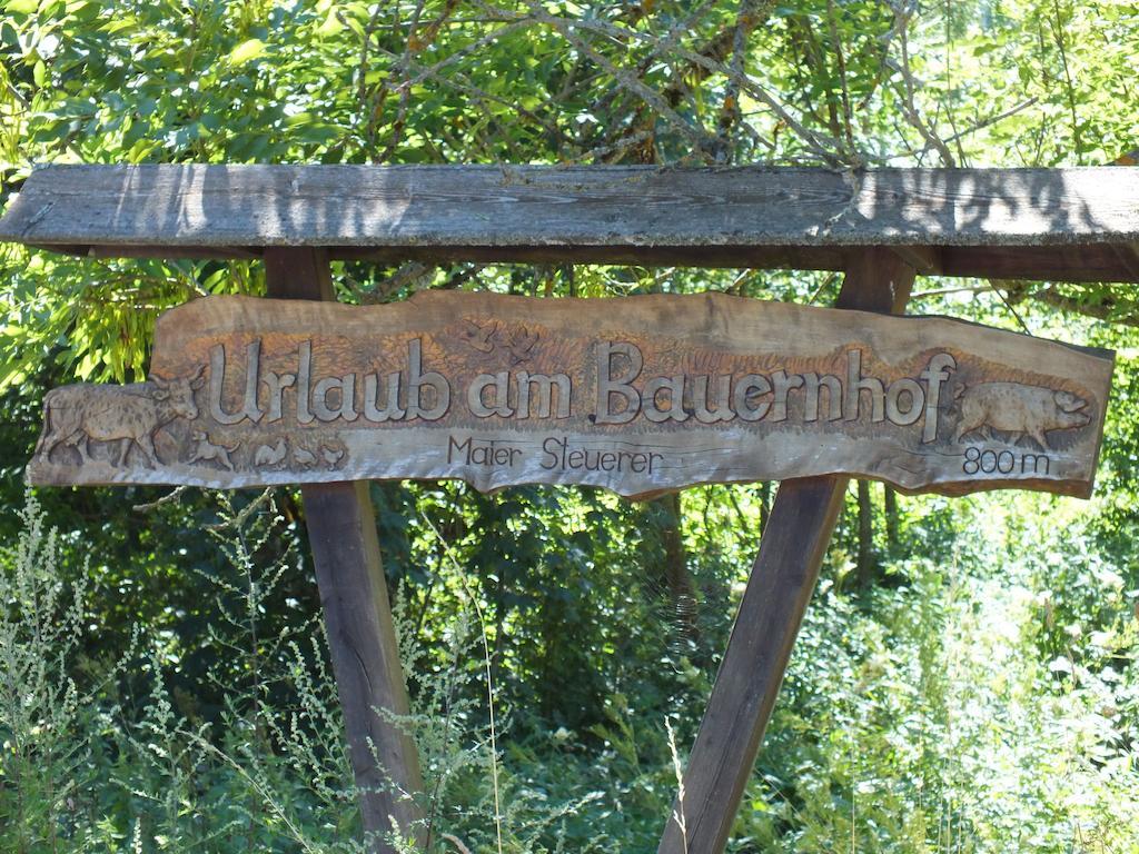 Appartement Steurer Hof à Liebenfels Extérieur photo